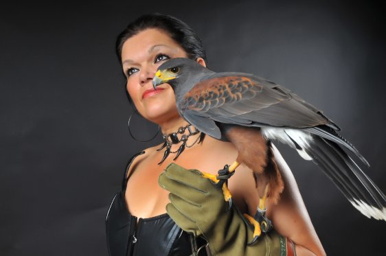 Miss Hawks Events – roofvogels en andere dieren